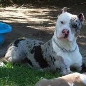 Profile Picture of Dillon Meyer (@283895047) on Myspace