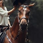 Profile Picture of ava solomon (@solomon3620) on Instagram