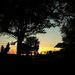 Profile Picture of Robert Charest (@robertcharest22) on Pinterest