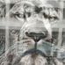 Profile Picture of Michel Suisse (@michel.suisse.142) on Facebook