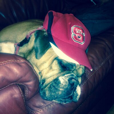 Profile Picture of Mark Roy (@MarkStatenRoy) on Twitter