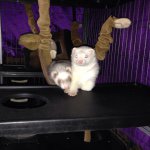 Profile Picture of Andrew Hammons (@andrew.hammons) on Instagram