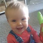 Profile Picture of Jayne Riddle (@riddlejayne) on Instagram