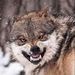 Profile Picture of Brian Brinegar (@bdbrinegar) on Pinterest
