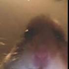 Profile Picture of   Khalid Live on TikTok (@khalidtyv) on Tiktok