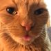 Profile Picture of Bobbie Engelking (@bobbie.engelking) on Facebook