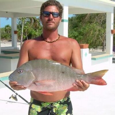 Profile Picture of David Adamosky (@bz_dave79) on Twitter