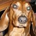 Profile Picture of Gilbert Palmer (@gilbert.palmer.75) on Facebook