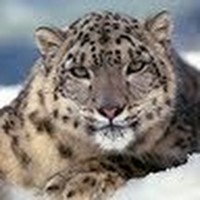 Profile Picture of Francois Jeffery (@francois-jeffery) on Quora