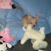 Profile Picture of juneconnor727 (@@juneconnor727) on Tiktok