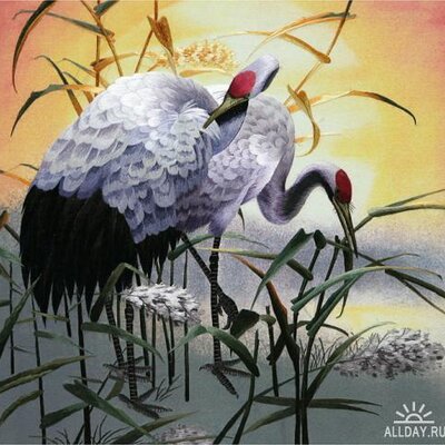 Profile Picture of Adam Chism (@AdamChism1) on Twitter