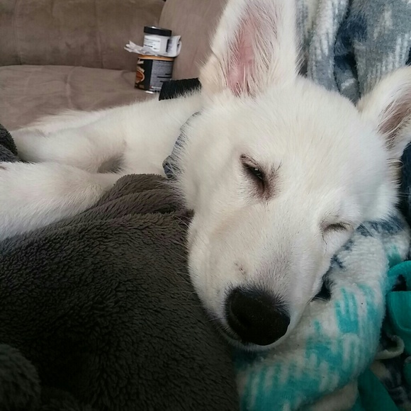 Profile Picture of Lindsey Edman (@laedman) on Poshmark