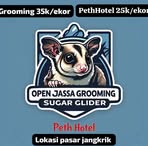 Profile Picture of Kevin Sugar Glider (@Kevin-Sugar-Glider) on Facebook