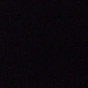 Alex Amoroso - Youtube Profile Picture of Alex Amoroso (@alexamoroso6849) on Youtube