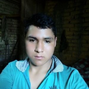 Profile Picture of David Julca Bravo (@DavidJulcaBrav1) on Twitter