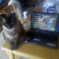 Profile Picture of Michael Finkelman (@michael-finkelman) on Quora