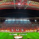 Profile Picture of Anibal Monteiro (@anibalfpmonteiro15) on Instagram