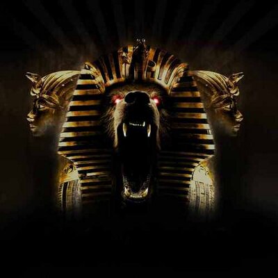 Profile Picture of Hany Fouad Shaker (@HanyFouadShaker) on Twitter