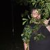Profile Picture of Richard Hodnett (@richard.hodnett.9) on Facebook