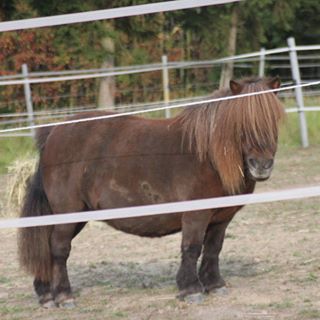 Profile Picture of Daniel Hund (@dietmar.ganz) on Facebook