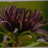 Eileen Nichol - Quora Profile Picture of Eileen Nichol (@eileen-nichol) on Quora