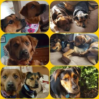 Profile Picture of David Hujar (@davidhujar) on Instagram