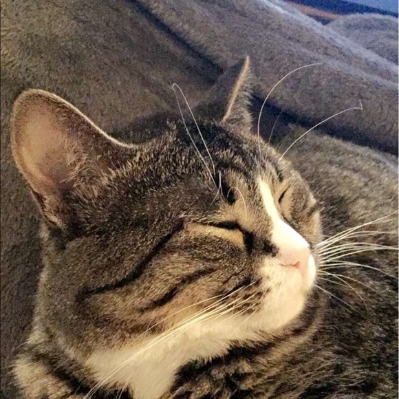 Profile Picture of Mariah Puckett (@mariah1fos) on Poshmark