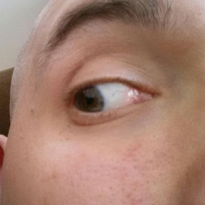 Profile Picture of Mike Ventrella (@mike_ventrella) on Twitter