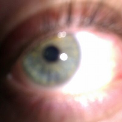 Matthew Bouche - Twitter Profile Picture of Matthew Bouche (@soul_bush) on Twitter