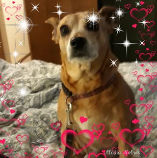 Profile Picture of Gina Epelbaum (@gina.epelbaum.3) on Facebook
