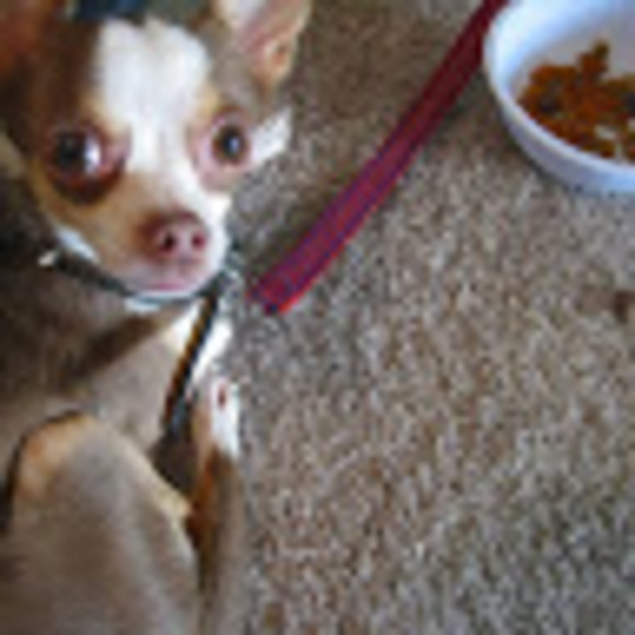 Profile Picture of Non Non (@nonnon0121) on Poshmark