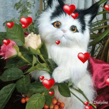 Profile Picture of Leonides Rodriguez (@LeonidesRodrig8) on Twitter