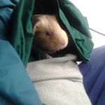 Profile Picture of Christopher and Anna Gassett (@christopherandannagassett) on Instagram