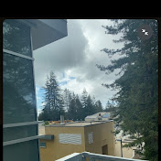 Profile Picture of Serenity Williams (@Swilliams347) on Youtube