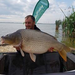 Profile Picture of George Paduraru (@georgepaduraru7) on Tiktok