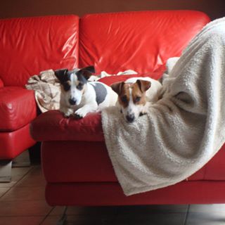 Profile Picture of Ann Claeys (@ann.claeys.374) on Facebook