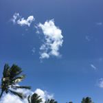 Profile Picture of Joyce Joubert (@joubertj) on Instagram