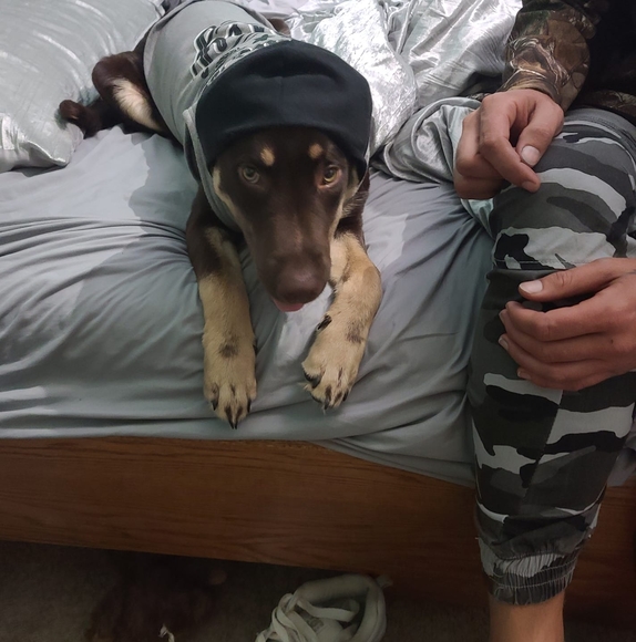 Profile Picture of Kevin Slyt (@kevinslyt) on Poshmark