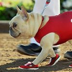 Profile Picture of Robert (@mr._quigglys) on Instagram