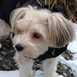 Profile Picture of Hugo Lawrence (@lawrence_hugo) on Instagram