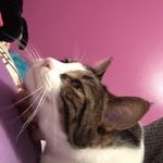 Dexter McFarland - Instagram Profile Picture of Dexter McFarland (@mcfarland.dexter) on Instagram