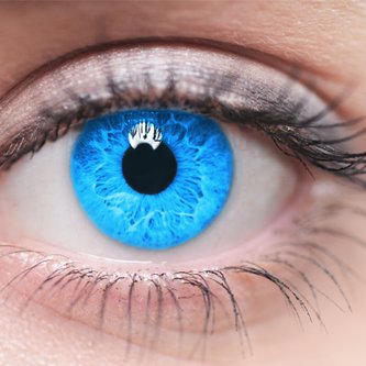 Dr Phillip Tan - Twitter Profile Picture of Dr Phillip Tan (@DrPhillipTan1) on Twitter