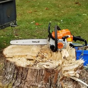 Profile Picture of Jeff Bayne (@bayne_jeff) on Twitter