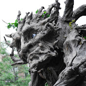 Profile Picture of Duncan Mcintyre (@duncanmcintyre1585) on Youtube