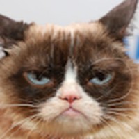 Giselle Rivas - Quora Profile Picture of Giselle Rivas (@giselle-rivas-13) on Quora