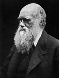 Profile Picture of Darwin Dayon Wikipedia