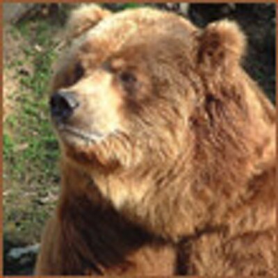 Profile Picture of Stephen Klock (@EdwardsKlock) on Twitter
