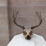 Profile Picture of Lawrence Archebeque (@Lawrence-Archebeque) on Facebook