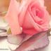 Profile Picture of بنت الديره (@AbdoAlharby15) on Twitter