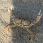 Profile Picture of Jesse Kinney (@bigdawgin2001) on Instagram